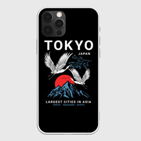 Чехол для iPhone 12 Pro Max с принтом Tokyo в Белгороде, Силикон |  | cities | country | japan | large | most | mountains | nagasaki | tokyo | travel | большие | восход | города | горы | графика | журавли | закат | летят | нагасаки | надпись | полет | птицы | путешествия | рисунок | самые | солнце | страна