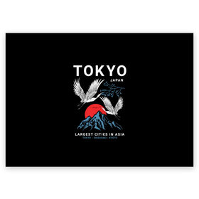 Поздравительная открытка с принтом Tokyo в Белгороде, 100% бумага | плотность бумаги 280 г/м2, матовая, на обратной стороне линовка и место для марки
 | cities | country | japan | large | most | mountains | nagasaki | tokyo | travel | большие | восход | города | горы | графика | журавли | закат | летят | нагасаки | надпись | полет | птицы | путешествия | рисунок | самые | солнце | страна