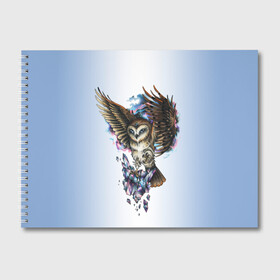 Альбом для рисования с принтом сова в Белгороде, 100% бумага
 | матовая бумага, плотность 200 мг. | owl | кристаллы | ночь | птица | сова | филин