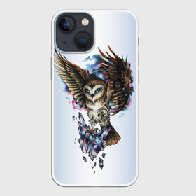 Чехол для iPhone 13 mini с принтом сова в Белгороде,  |  | owl | кристаллы | ночь | птица | сова | филин