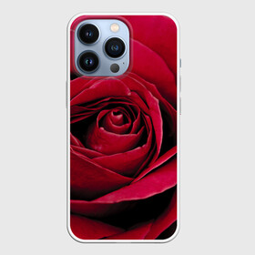 Чехол для iPhone 13 Pro с принтом Бутон алой розы в Белгороде,  |  | 8 | day | flower | flowers | international | nature | pud | rose | roses | womens | бутон | день | женский | марта | международный | природа | растение | роза | розы | цветок | цветы