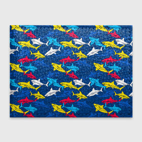 Обложка для студенческого билета с принтом Акулы в Белгороде, натуральная кожа | Размер: 11*8 см; Печать на всей внешней стороне | blue | drawin | fashion | fish | illustration | ocean | predator | red | sea | sharks | style | water | yellow | youth | акулы | вода | графика | жёлтый | иллюстрация | картинка | красный | мода | молодежная | море | океан | рисунок | рыба | син
