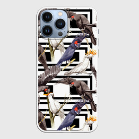 Чехол для iPhone 13 Pro Max с принтом Попугаи какаду в Белгороде,  |  | birds | bri | cockatoo | exotic | jungle | palm | parrots | tropical | акварель | геометрический | графика | джунгли | иллюстрация | картинка | мода | молодежная | орнамент | пальмы | попугаи | птицы | рисунок | стиль