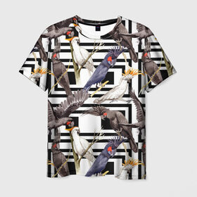 Мужская футболка 3D с принтом Попугаи какаду в Белгороде, 100% полиэфир | прямой крой, круглый вырез горловины, длина до линии бедер | birds | bri | cockatoo | exotic | jungle | palm | parrots | tropical | акварель | геометрический | графика | джунгли | иллюстрация | картинка | мода | молодежная | орнамент | пальмы | попугаи | птицы | рисунок | стиль