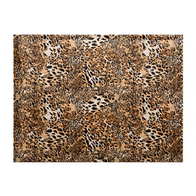 Обложка для студенческого билета с принтом Леопард в Белгороде, натуральная кожа | Размер: 11*8 см; Печать на всей внешней стороне | camouflage | cat | disguise | fashion | illustration | jungle | leopard | predator | skin | spots | style | wild | youth | графика | джунгли | дикий | иллюстрация | камуфляж | картинка | кошка | леопард | маскировка | мода | молодежная | пятна | рисунок |