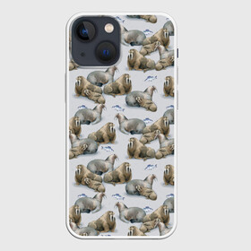 Чехол для iPhone 13 mini с принтом Моржи в Белгороде,  |  | animals | big | f | fangs | fish | fishing | ice | lie | northern | snow | style | walruses | wild | youth | большие | графика | дикие | животные | иллюстрация | картинка | клыки | лёд | лежат | мода | молодежная | моржи | рисунок | рыба | рыбалка