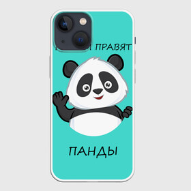 Чехол для iPhone 13 mini с принтом ПАНДА в Белгороде,  |  | bear | panda | the world is ruled by pandas | животное | медведь | мир | панда | правят панды | приветы | просто красавчик