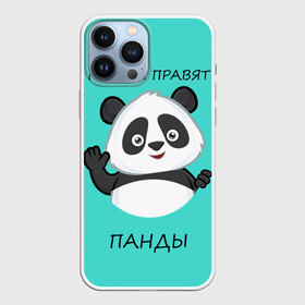 Чехол для iPhone 13 Pro Max с принтом ПАНДА в Белгороде,  |  | bear | panda | the world is ruled by pandas | животное | медведь | мир | панда | правят панды | приветы | просто красавчик