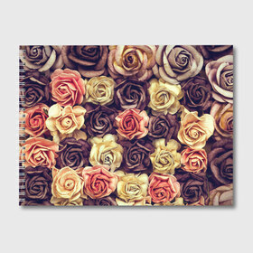 Альбом для рисования с принтом Шоколадные розы в Белгороде, 100% бумага
 | матовая бумага, плотность 200 мг. | бабушке | девочке | девушке | дочке | желтые цветы | женщине | маме | подруге | природа | розовые цветы | розы | сестре | теще | тюльпаны | цветы
