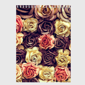 Скетчбук с принтом Шоколадные розы в Белгороде, 100% бумага
 | 48 листов, плотность листов — 100 г/м2, плотность картонной обложки — 250 г/м2. Листы скреплены сверху удобной пружинной спиралью | бабушке | девочке | девушке | дочке | желтые цветы | женщине | маме | подруге | природа | розовые цветы | розы | сестре | теще | тюльпаны | цветы