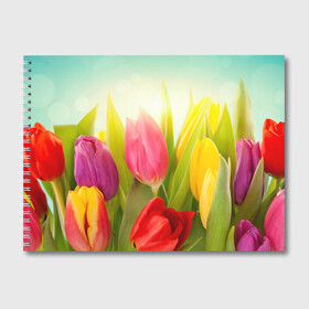 Альбом для рисования с принтом Тюльпаны в Белгороде, 100% бумага
 | матовая бумага, плотность 200 мг. | бабушке | девочке | девушке | дочке | желтые цветы | женщине | маме | подруге | природа | розовые цветы | розы | сестре | теще | тюльпаны | цветы