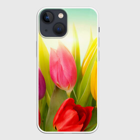 Чехол для iPhone 13 mini с принтом Тюльпаны в Белгороде,  |  | бабушке | девочке | девушке | дочке | желтые цветы | женщине | маме | подруге | природа | розовые цветы | розы | сестре | теще | тюльпаны | цветы