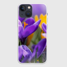 Чехол для iPhone 13 mini с принтом Фиолетовые цветы в Белгороде,  |  | бабушке | девочке | девушке | дочке | желтые цветы | женщине | маме | подруге | природа | розовые цветы | розы | сестре | теще | тюльпаны | цветы