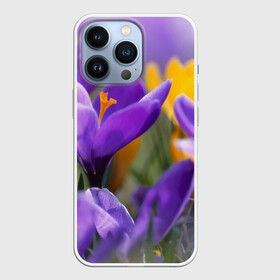 Чехол для iPhone 13 Pro с принтом Фиолетовые цветы в Белгороде,  |  | бабушке | девочке | девушке | дочке | желтые цветы | женщине | маме | подруге | природа | розовые цветы | розы | сестре | теще | тюльпаны | цветы