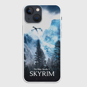 Чехол для iPhone 13 mini с принтом Skyrim в Белгороде,  |  | skyrim | игры | скайрим