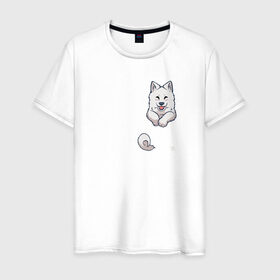 Мужская футболка хлопок с принтом Песик в Кармане в Белгороде, 100% хлопок | прямой крой, круглый вырез горловины, длина до линии бедер, слегка спущенное плечо. | Тематика изображения на принте: anime | dog | happy | kawaii | акита | аниме | белый | милый | мимими | овчарка | пес | плюшевый | пушистик | самоед | собака | собакен | счастливый | щенок