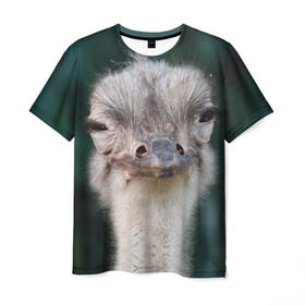 Мужская футболка 3D с принтом Подозрительный страус в Белгороде, 100% полиэфир | прямой крой, круглый вырез горловины, длина до линии бедер | Тематика изображения на принте: lol | глаза | голова | детям | животные | зеленая | лол | подарок | подмигивает | подозрительно | прикольная | природа | смешная | страус | эмоции | юмор