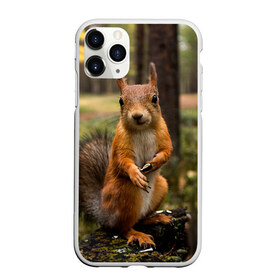 Чехол для iPhone 11 Pro матовый с принтом Белочка в Белгороде, Силикон |  | белка | веселая | весна | глаза | грызун | деревья | зверек | зверь | зеленая | зелень | классная | лес | лето | новинка | осень | пенек | позирует | прикольная | природа | пушистая | рыжая | семечки | фото