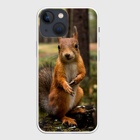 Чехол для iPhone 13 mini с принтом Белочка в Белгороде,  |  | белка | веселая | весна | глаза | грызун | деревья | зверек | зверь | зеленая | зелень | классная | лес | лето | новинка | осень | пенек | позирует | прикольная | природа | пушистая | рыжая | семечки | фото