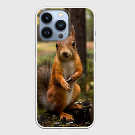 Чехол для iPhone 13 Pro с принтом Белочка в Белгороде,  |  | белка | веселая | весна | глаза | грызун | деревья | зверек | зверь | зеленая | зелень | классная | лес | лето | новинка | осень | пенек | позирует | прикольная | природа | пушистая | рыжая | семечки | фото