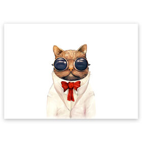 Поздравительная открытка с принтом Кот в Белгороде, 100% бумага | плотность бумаги 280 г/м2, матовая, на обратной стороне линовка и место для марки
 | Тематика изображения на принте: бабочка | в очках | киса | киска | костюм | котейка | котенок | котэ | котя | кошка | крутой | модный | стиль | ученый
