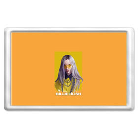 Магнит 45*70 с принтом Billie Eilish в Белгороде, Пластик | Размер: 78*52 мм; Размер печати: 70*45 | at | billie | don’t | eilish | electronic | eyes | me | music | ocean | pirate | smile | synthpop | usa | айлиш | билли | музыка | пайрэт | синти поп | сша | электронная | электропоп