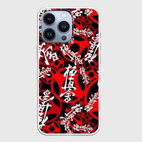 Чехол для iPhone 13 Pro с принтом Каратэ киокушинкай в Белгороде,  |  | arts | black | fashion | hapkido | judo | karate | style | sym | taekwondo | white | белый | боевые | графика | дзюдо | дизайн | иероглифы | иллюстрация | искусства | картинка | киокушинкай | красный | мода | надпись | орнамент | рисунок