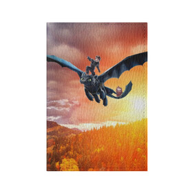 Обложка для паспорта матовая кожа с принтом  Night Fury в Белгороде, натуральная матовая кожа | размер 19,3 х 13,7 см; прозрачные пластиковые крепления | Тематика изображения на принте: how to train your dragon | night fury | беззубик | дракон | как приручить дракона | ночная фурия