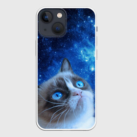 Чехол для iPhone 13 mini с принтом Сердитый кот в космосе в Белгороде,  |  | grumpy cat | космос | кот | кот в космосе | кот мем | кошка | кошка мем | мем кот | сердитый кот | синий кот