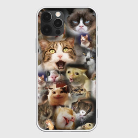 Чехол для iPhone 12 Pro Max с принтом Те самые коты в Белгороде, Силикон |  | Тематика изображения на принте: грустный кот мем | кот | кот мем | коты | кошка | мем | мем про котов | мемы | мемы с котами