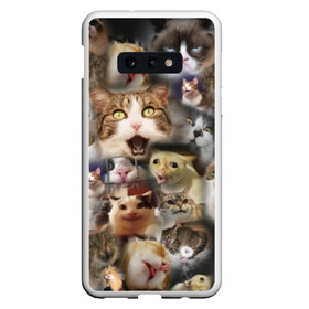 Чехол для Samsung S10E с принтом Те самые коты в Белгороде, Силикон | Область печати: задняя сторона чехла, без боковых панелей | Тематика изображения на принте: грустный кот мем | кот | кот мем | коты | кошка | мем | мем про котов | мемы | мемы с котами