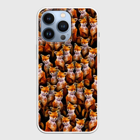 Чехол для iPhone 13 Pro с принтом Упоротые лисы в Белгороде,  |  | fox | животные | лис | лиса | лисичка | мем | паттрен | рыжий | толпа | упортый | фыр фыр