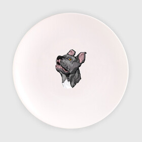 Тарелка 3D с принтом Pitbull в Белгороде, фарфор | диаметр - 210 мм
диаметр для нанесения принта - 120 мм | dog | pitbull | питбуль | собака | собаки
