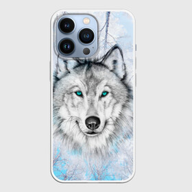 Чехол для iPhone 13 Pro с принтом Волк в Белгороде,  |  | Тематика изображения на принте: берёзы | волчара | глаза | зима | лес | матёрый | небо | собака | хищник