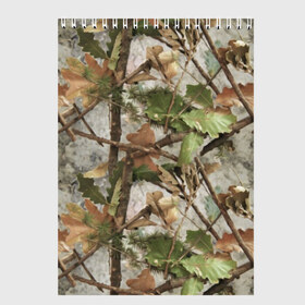 Скетчбук с принтом Камуфляж в Белгороде, 100% бумага
 | 48 листов, плотность листов — 100 г/м2, плотность картонной обложки — 250 г/м2. Листы скреплены сверху удобной пружинной спиралью | Тематика изображения на принте: army | autumn | branches | camouflage | disguise | fishing | forest | green | khaki | leaves | nature | oak | photo | армия | ветки | дуб | зеленый | камуфляж | лес | листья | маскировка | осень | охота | природа | рыбалка | фото | хаки