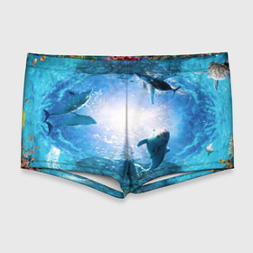 Мужские купальные плавки 3D с принтом Дельфины в Белгороде, Полиэстер 85%, Спандекс 15% |  | Тематика изображения на принте: fish | аква | аквариум | вода | кораллы | море | океан | ракушки | рыбки | рыбы