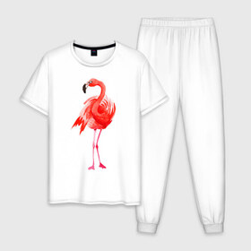 Мужская пижама хлопок с принтом Фламинго в Белгороде, 100% хлопок | брюки и футболка прямого кроя, без карманов, на брюках мягкая резинка на поясе и по низу штанин
 | животные | птицы | фламинго