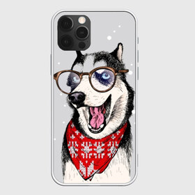 Чехол для iPhone 12 Pro Max с принтом Хаски в Белгороде, Силикон |  | animal | blue | breed | dog | drawing | eyes | graphic | husky | jaws | knitted | open | ornament | pattern | shawl | snow | winter | вязаный | глаза | голубые | графический | животное | зима | орнамент | открытая | очки | платок | порода | рису