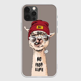 Чехол для iPhone 12 Pro Max с принтом llama в Белгороде, Силикон |  | animal | dude | flower | grimace | hat | head | hello | inscription | llama | long | neck | street | style | голова | гримаса | длинная | животное | лама | надпись | очки | привет | стиль | уличный | цветок | чувак | шапка | шея