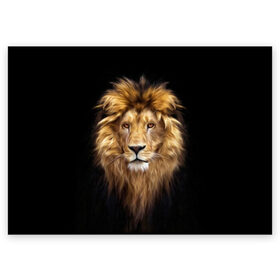 Поздравительная открытка с принтом Лев в Белгороде, 100% бумага | плотность бумаги 280 г/м2, матовая, на обратной стороне линовка и место для марки
 | african | animals | authority | big | cat | cool | head | illustration | indisputable | lion | mane | muzzle | supreme | swag | авторитет | африканский | большая | верховный | голова | грива | животные | иллюстрация | кошка | крутой | лев | непрер