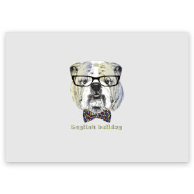 Поздравительная открытка с принтом Английский бульдог в Белгороде, 100% бумага | плотность бумаги 280 г/м2, матовая, на обратной стороне линовка и место для марки
 | animals | breed | bulldog | butterfly | dog | english | fight | gentleman | head | illustration | inscription | muzzle | tie | английский | бабочка | бойцовый | бульдог | галстук | голова | джентльмен | животные | иллюстрация | надпись |