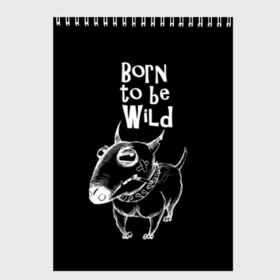 Скетчбук с принтом Born to be wild в Белгороде, 100% бумага
 | 48 листов, плотность листов — 100 г/м2, плотность картонной обложки — 250 г/м2. Листы скреплены сверху удобной пружинной спиралью | Тематика изображения на принте: angry | animals | authority | b | black and white | bull terrier | bully | cool | dog | fight | illustration | swag | thug | wild | авторитет | бандит | бойцовый | бультерьер | дикий | животные | злой | иллюстрация | крутой | надпись | ошейник | п