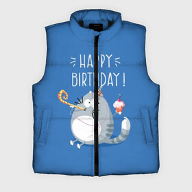 Мужской жилет утепленный 3D с принтом Happy birthday в Белгороде,  |  | berry | birthday | cake | cap | cat | cherry | gray | holds | holiday | inscription | party | sits | striped | sweetness | вечеринка | вишня | день рождения | держит | колпак | кот | надпись | пирожное | полосатый | праздник | серый | сидит | сладость | я