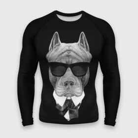 Мужской рашгард 3D с принтом Питбуль в Белгороде,  |  | animals | black | black and white | cool | dog | fight | gentleman | head | illustration | pitbull | swag | white | авторитет | белая | бойцовый | галстук бабочка | голова | джентльмен | животные | иллюстрация | костюм | крутой | очки | 