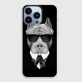 Чехол для iPhone 13 Pro с принтом Питбуль в Белгороде,  |  | Тематика изображения на принте: animals | black | black and white | cool | dog | fight | gentleman | head | illustration | pitbull | swag | white | авторитет | белая | бойцовый | галстук бабочка | голова | джентльмен | животные | иллюстрация | костюм | крутой | очки | 