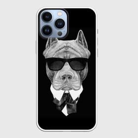 Чехол для iPhone 13 Pro Max с принтом Питбуль в Белгороде,  |  | animals | black | black and white | cool | dog | fight | gentleman | head | illustration | pitbull | swag | white | авторитет | белая | бойцовый | галстук бабочка | голова | джентльмен | животные | иллюстрация | костюм | крутой | очки | 