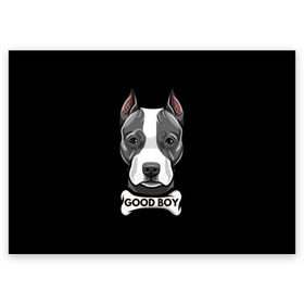 Поздравительная открытка с принтом Стаффордширский терьер в Белгороде, 100% бумага | плотность бумаги 280 г/м2, матовая, на обратной стороне линовка и место для марки
 | animal | bone | breed | dog | fight | head | inscription | look | muzzle | staffordshire | terrier | бойцовая | взгляд | голова | животное | кость | надпись | порода | собака | стаффордширский | терьер