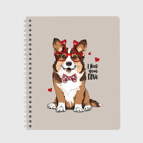 Тетрадь с принтом I need your love в Белгороде, 100% бумага | 48 листов, плотность листов — 60 г/м2, плотность картонной обложки — 250 г/м2. Листы скреплены сбоку удобной пружинной спиралью. Уголки страниц и обложки скругленные. Цвет линий — светло-серый
 | animal | bow tie | breed | corgi | cute | dog | funny | hearts | holiday | pembroke | polka dot | red | saint | valentine | валентина | вельш корги | галстук бабочка | горошек | день | животное | красный | любовь | милая | очки | пемброк | пород