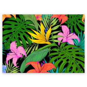 Поздравительная открытка с принтом Тропики. в Белгороде, 100% бумага | плотность бумаги 280 г/м2, матовая, на обратной стороне линовка и место для марки
 | весна | красочная | природа | растения | тропические | цветы | яркая