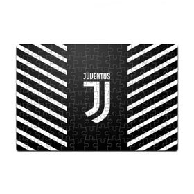 Пазл магнитный 126 элементов с принтом JUVENTUS SPORT в Белгороде, полимерный материал с магнитным слоем | 126 деталей, размер изделия —  180*270 мм | cr7 | fc | football | football club | juve | juventus | ronaldo | sport | роналдо | спорт | спортивные | униформа | фирменные цвета | фк | футбол | футбольный клуб | ювентус